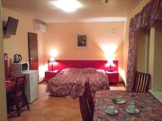 Отели типа «постель и завтрак» Villa Lepido Таллин Двухместный номер с 1 кроватью и сауной-3